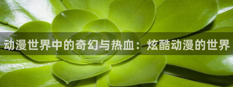 jk动漫天堂：动漫世界中的奇幻与热血：炫酷动漫的世界