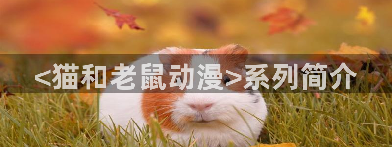 3d动漫天堂网：<猫和老鼠动漫>系列简介