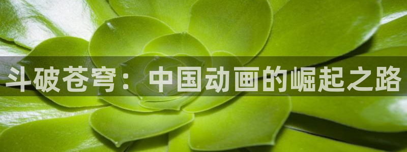 cos动漫天堂官网下载：斗破苍穹：中国动画的崛起之路
