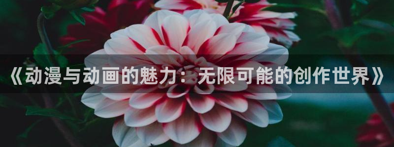 动漫天堂在线看：《动漫与动画的魅力：无限可能的创作世界》