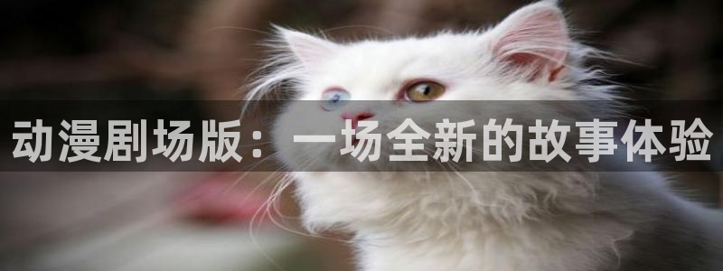 动漫天堂在线看：动漫剧场版：一场全新的故事体验