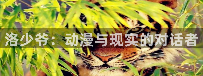 黄动漫天堂：洛少爷：动漫与现实的对话者