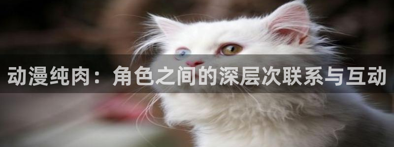 原神禁动漫天堂：动漫纯肉：角色之间的深层次联系与互动