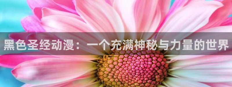 禁动漫天堂：黑色圣经动漫：一个充满神秘与力量的世界