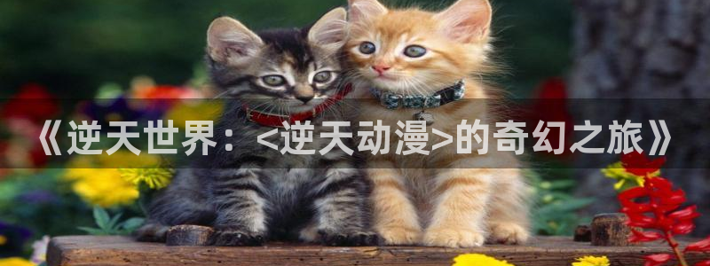 动漫天堂网：《逆天世界：<逆天动漫>的奇幻之旅》