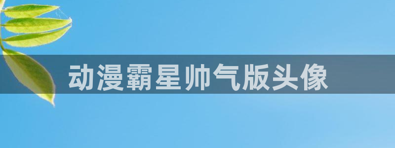 免费a漫动漫天堂.：动漫霸星帅气版头像