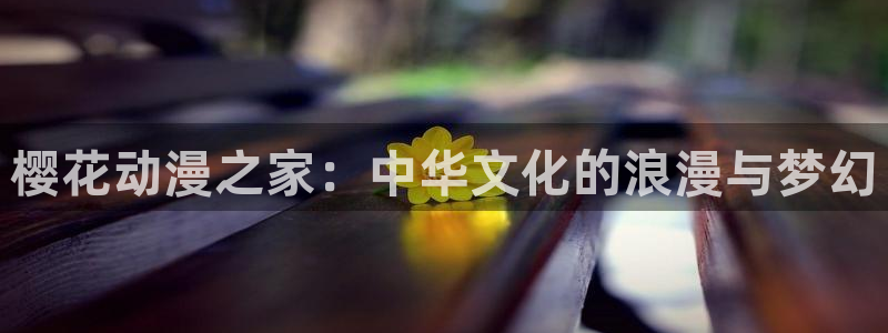 coco动漫天堂：樱花动漫之家：中华文化的浪漫与梦幻