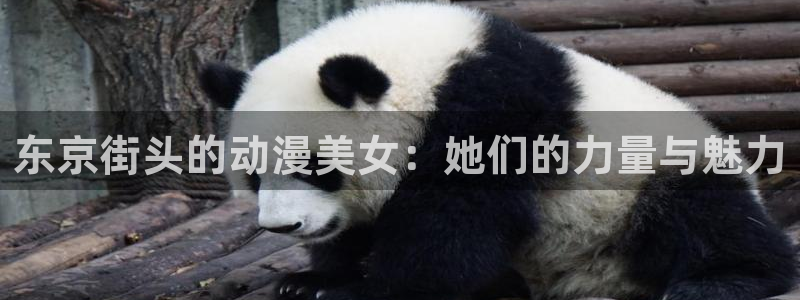 动漫天堂网：东京街头的动漫美女：她们的力量与魅力