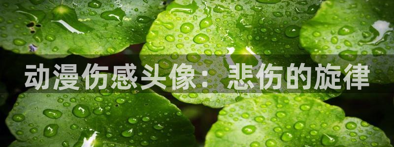 动漫天堂在线观看：动漫伤感头像：悲伤的旋律