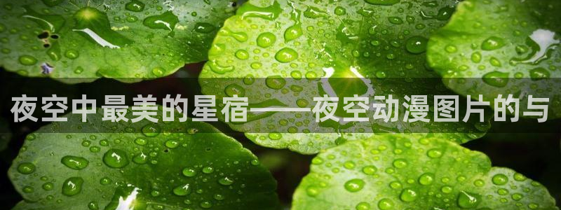 动漫天堂官方正版下载：夜空中最美的星宿——夜空动漫图片的与