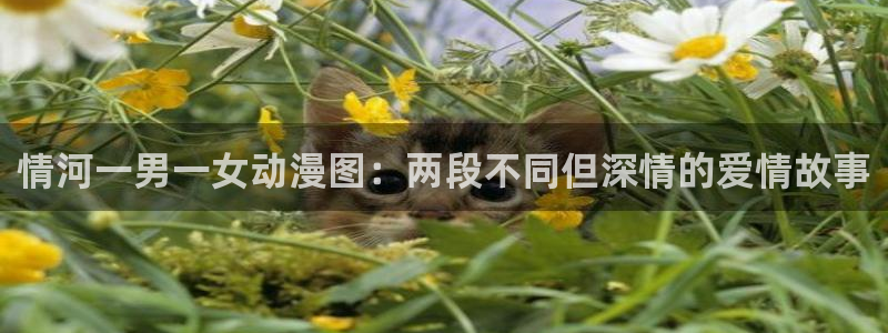 动漫天堂在线看：情河一男一女动漫图：两段不同但深情的爱情故事