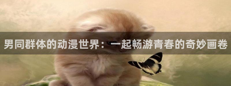动漫天堂3d：男同群体的动漫世界：一起畅游青春的奇妙画卷