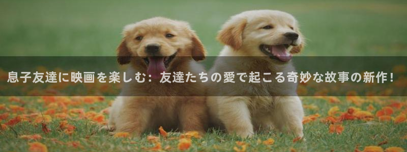 男人动漫天堂在线：息子友達に映画を楽しむ：友達たちの愛で起こる奇妙な故事の新作！